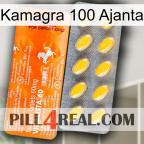 Kamagra 100 Ajanta new05